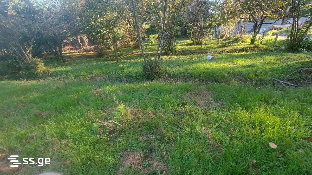 Land For Rent. Gonio view 3