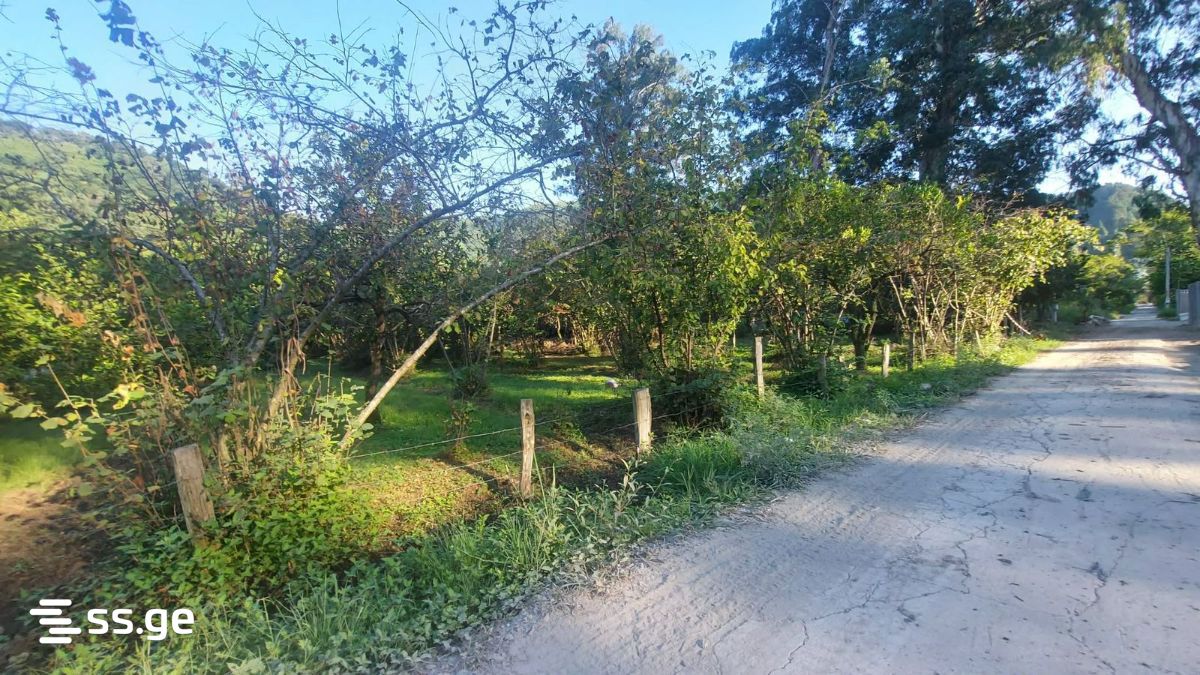 Land For Rent. Gonio view 2