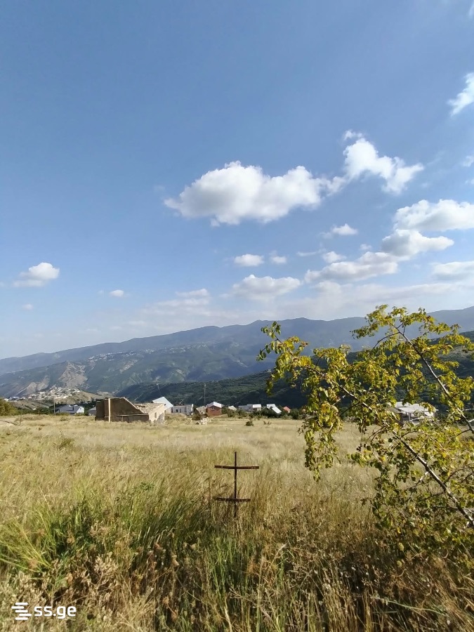 Land For Sale. Napetvrebi view 3