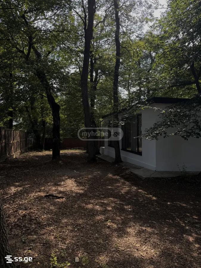 3 Room Summer Cottage For Rent. Saburtalo view 8