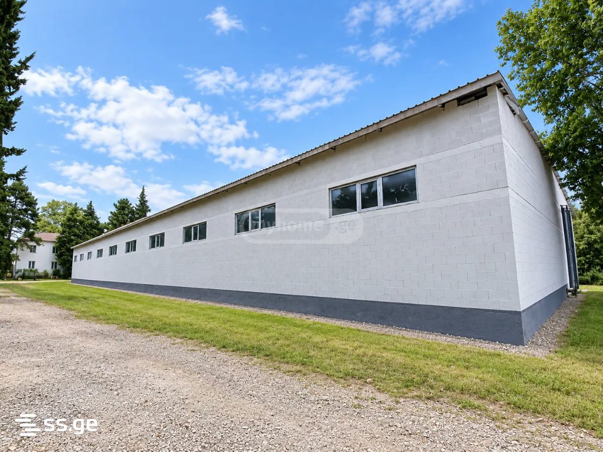 Store-Industrial Property For Rent. Sagarejo view 5