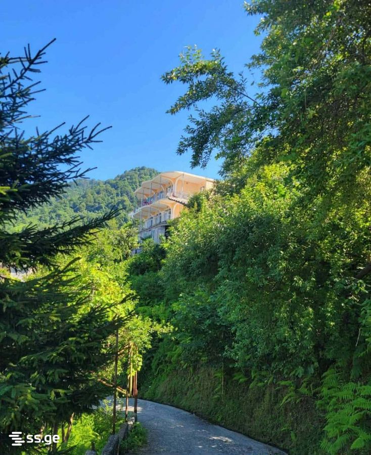 Land For Sale. Kvariati view 4