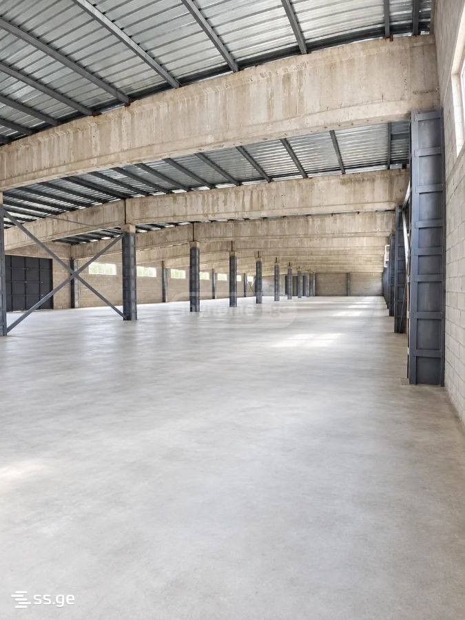 Store-Industrial Property For Rent. Sagarejo view 1