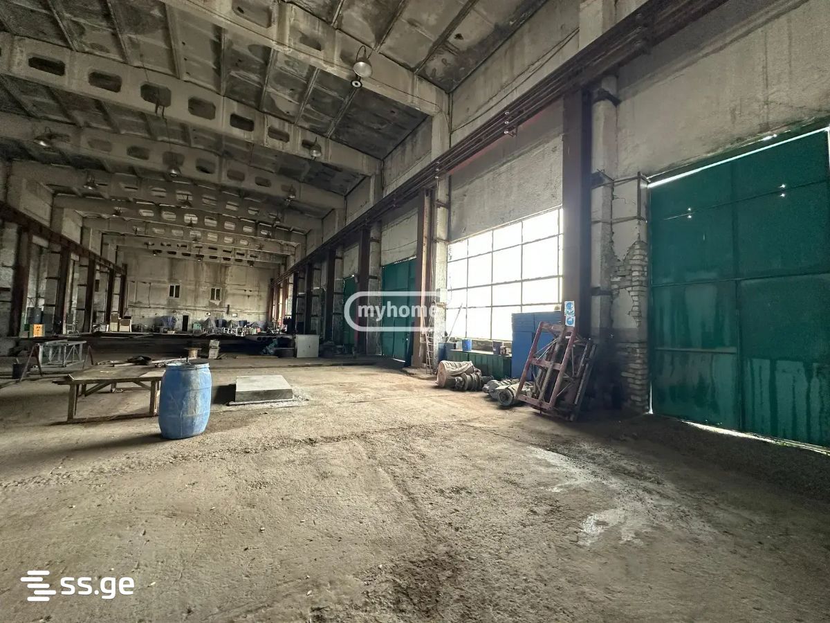 Store-Industrial Property For Rent. Didi Lilo view 3