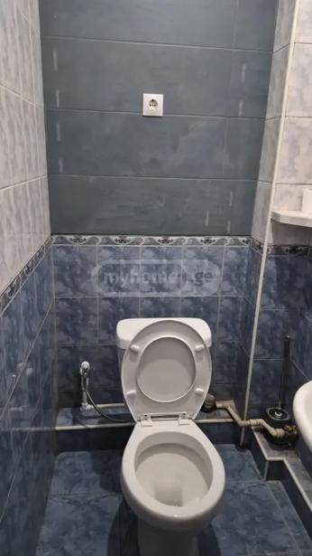https://static.ss.ge/20260925/8_3a7884a7-04ee-446d-8e75-7374ecb69351_Thumb.jpg