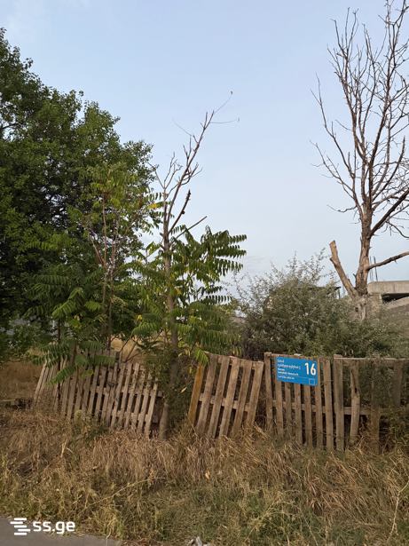 Land For Rent. Tbilisi Sea view 3