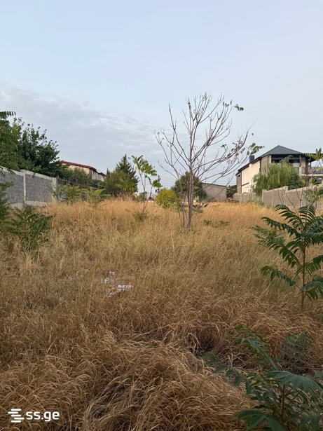 Land For Rent. Tbilisi Sea view 2