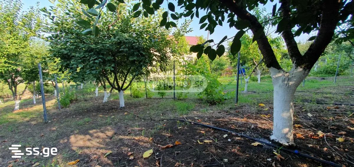 7 Room Summer Cottage For Sale view 7