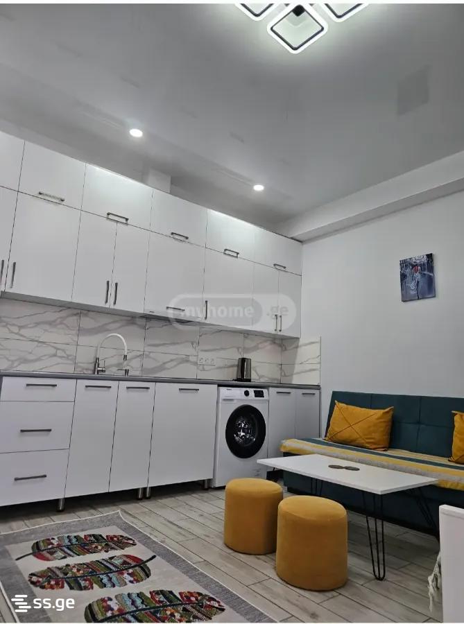 2 Room Flat Daily Rent. Samgori view 3