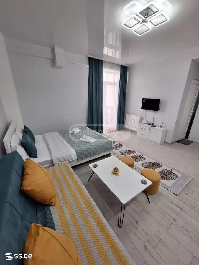 2 Room Flat Daily Rent. Samgori view 1