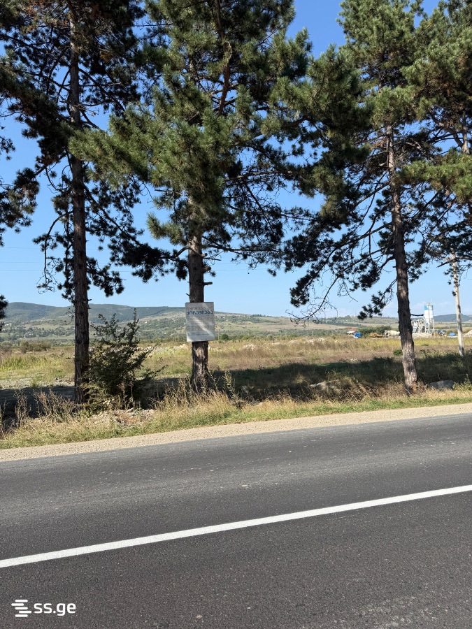 Land For Sale. Khashuri view 3