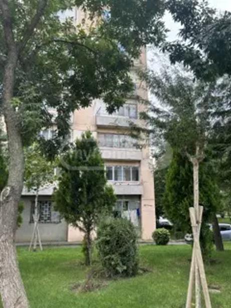 https://static.ss.ge/20260928/14_cee53a81-720a-49d8-87eb-9aacc212eda4_Thumb.jpg