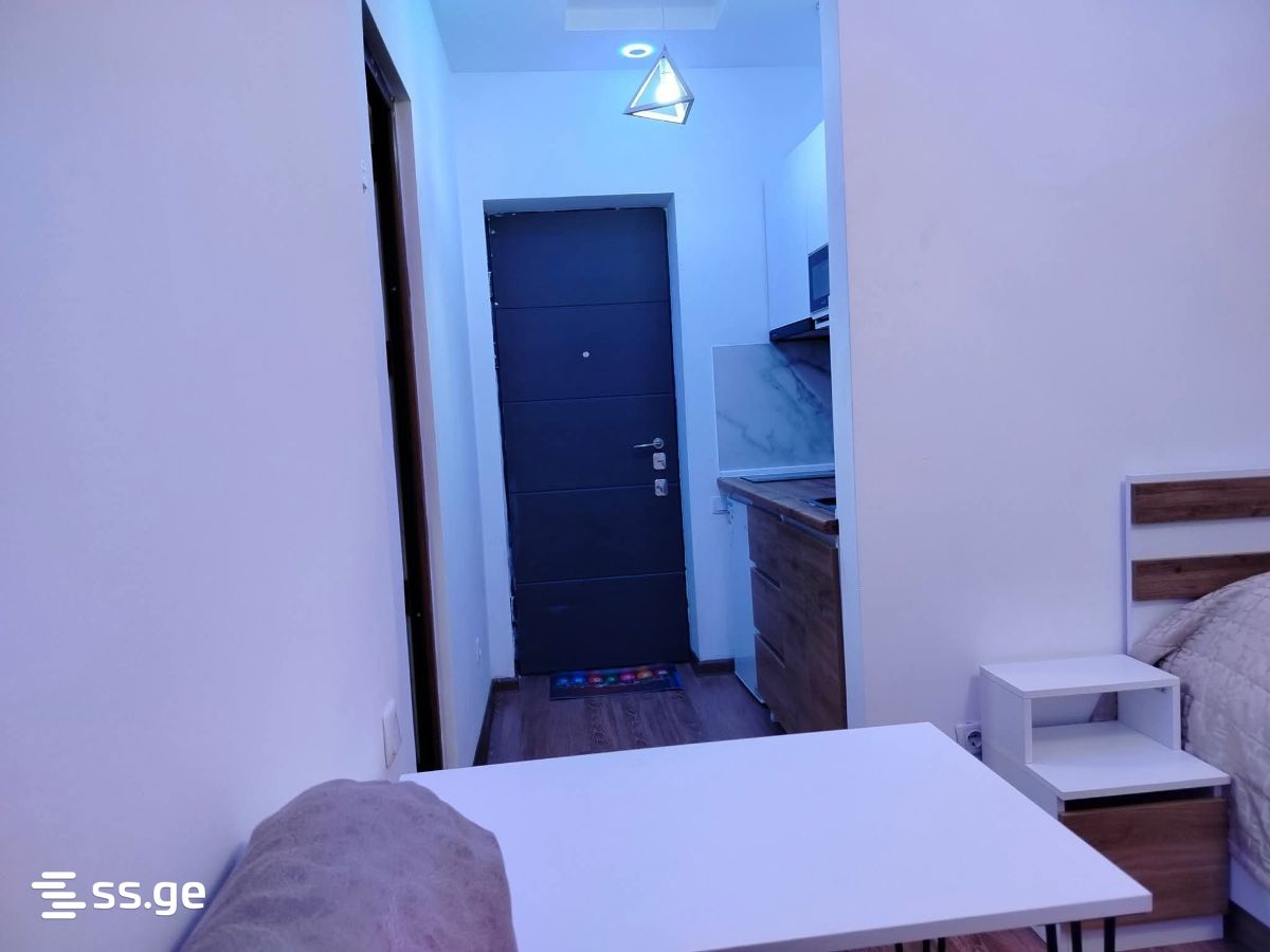 1 Room Flat For Sale view 4