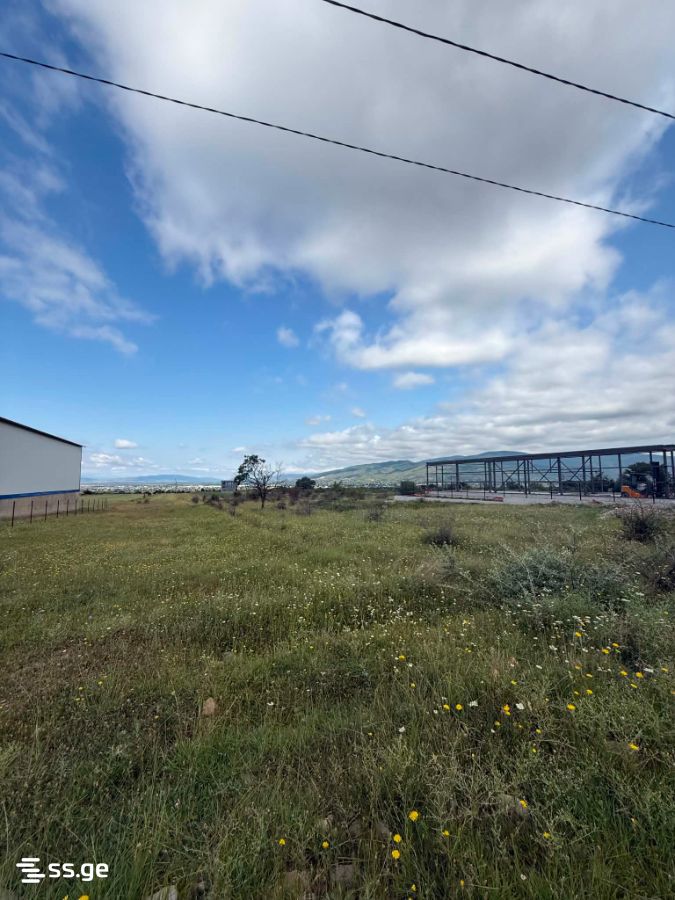 Land For Sale. Saguramo view 1