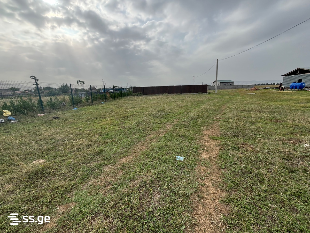 Land For Sale. Krtsanisi view 4