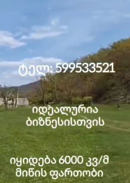 https://static.ss.ge/20260928/19_9636cc5b-5535-49c4-9db8-e619e05c54fe_Thumb.jpg
