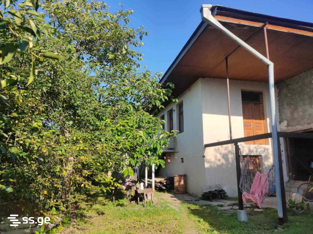 Продажа Summer Cottage в гурджаани view 2