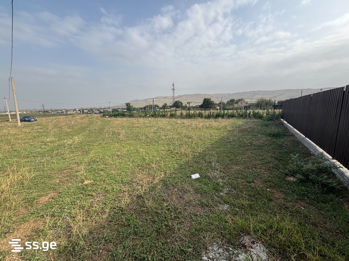 Land For Sale. Krtsanisi view 1