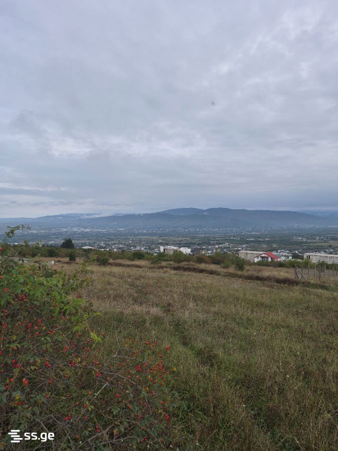 Land For Sale. Akhalsopeli view 1