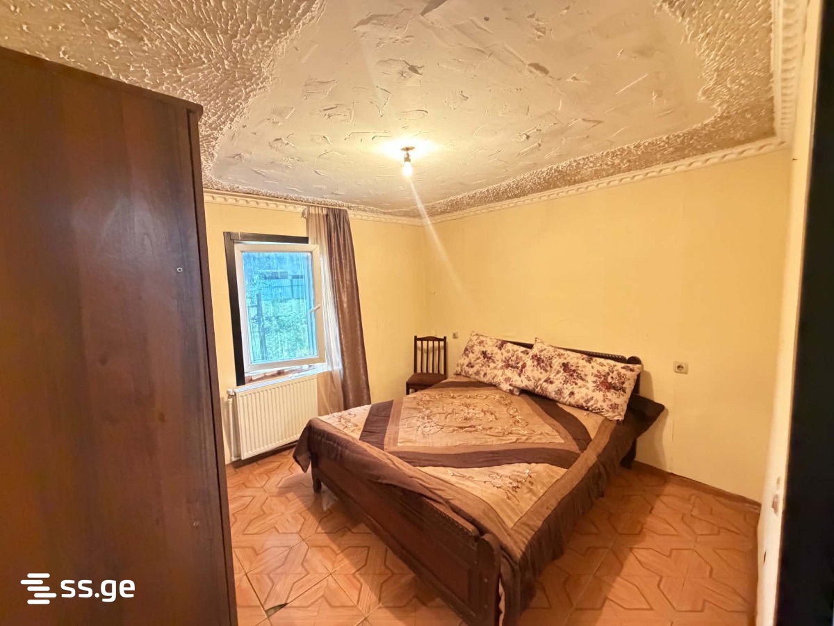 1 Room Private House For Rent. Zugdidi view 3