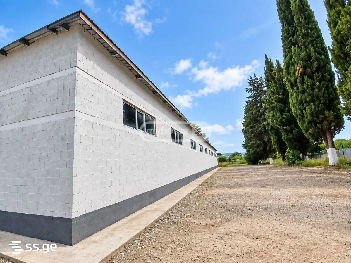 Store-Industrial Property For Rent. Sagarejo view 5