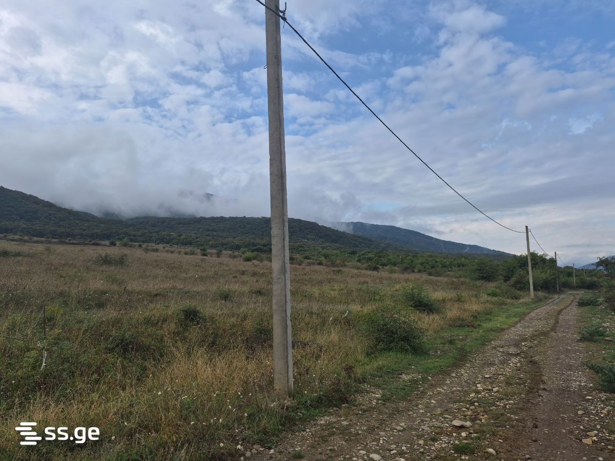 Land For Sale. Akhalsopeli view 4