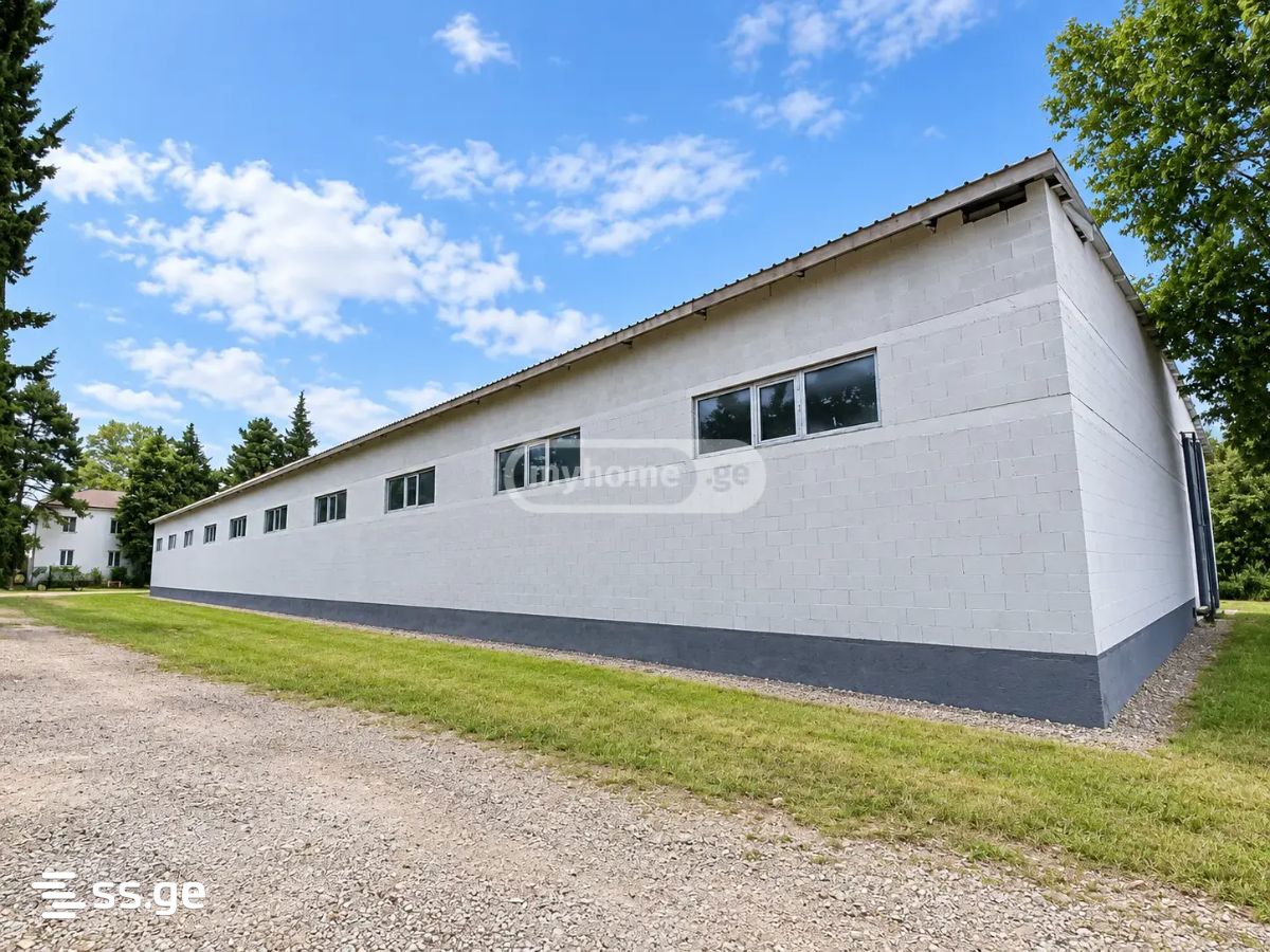 Store-Industrial Property For Rent. Sagarejo view 4