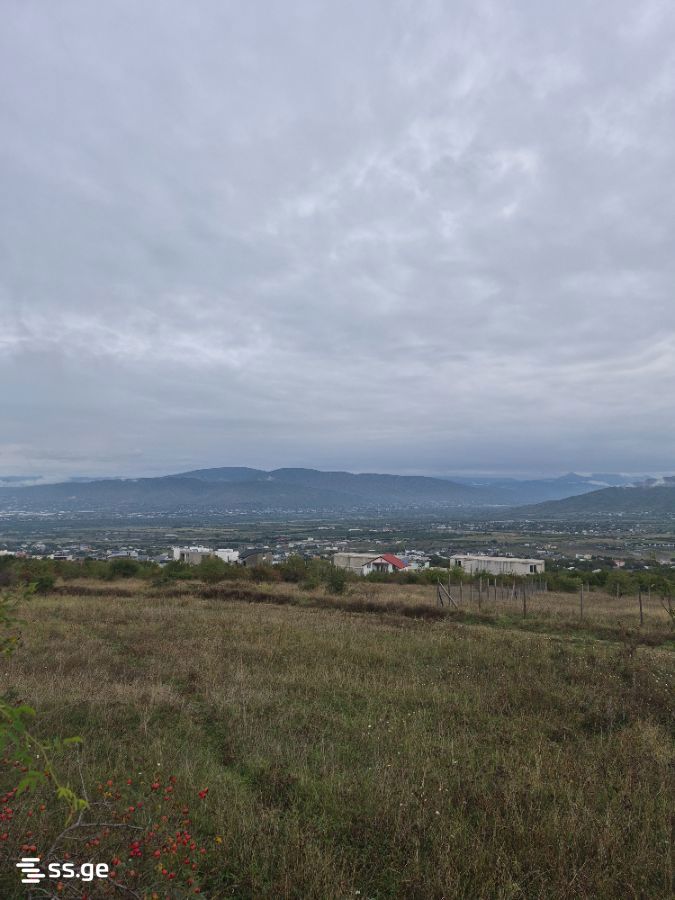 Land For Sale. Akhalsopeli view 2