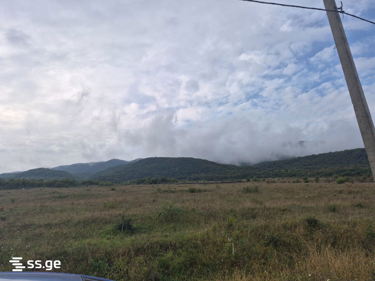 Land For Sale. Akhalsopeli view 3