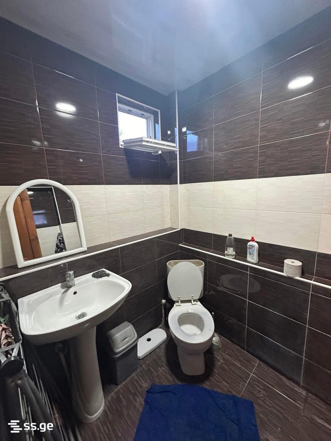 2 Room Flat For Rent. Telavi view 2