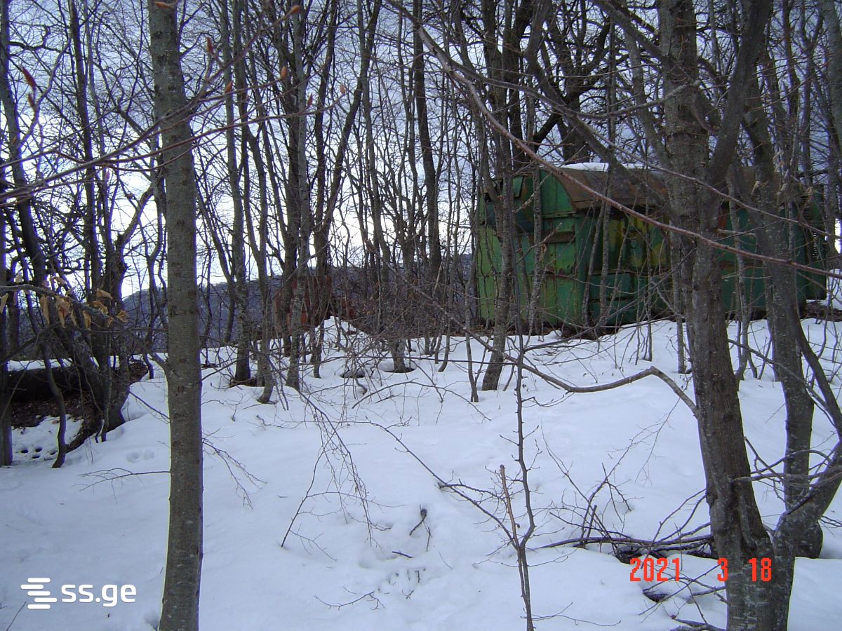 Продажа Summer Cottage в Мцхета view 1