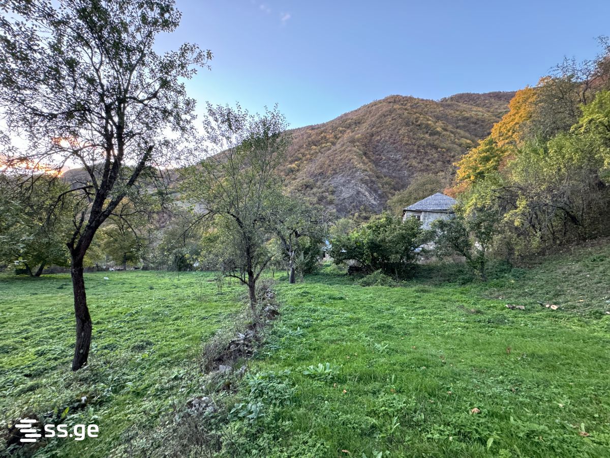 Land For Rent. Dusheti view 4