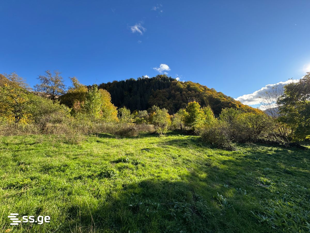 Land For Rent. Dusheti view 3