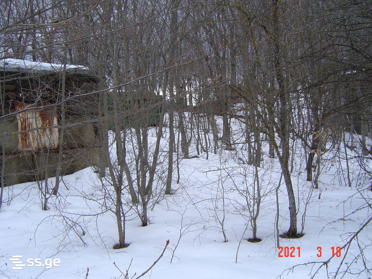 Продажа Summer Cottage в Мцхета view 2