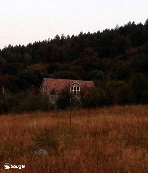 7 Room Summer Cottage For Sale view 9