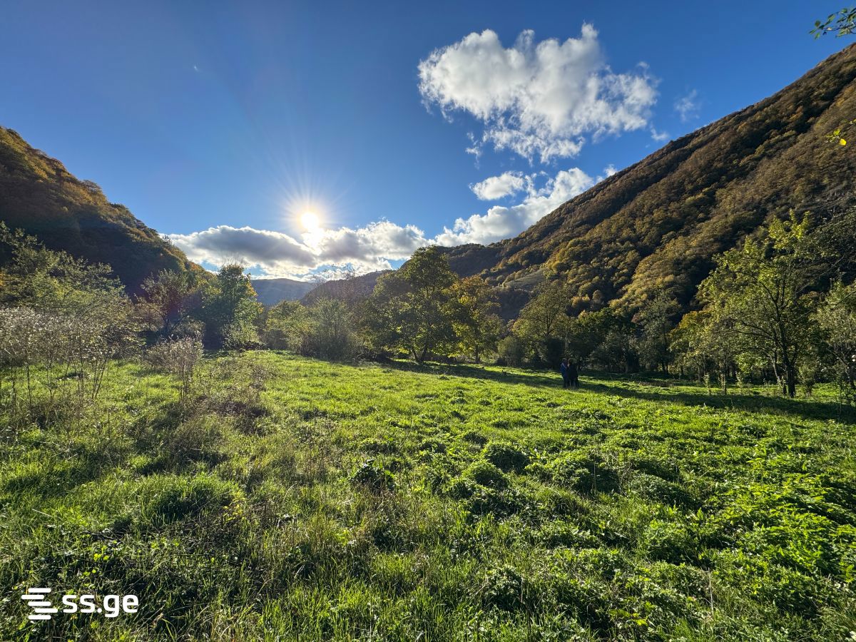 Land For Rent. Dusheti view 1