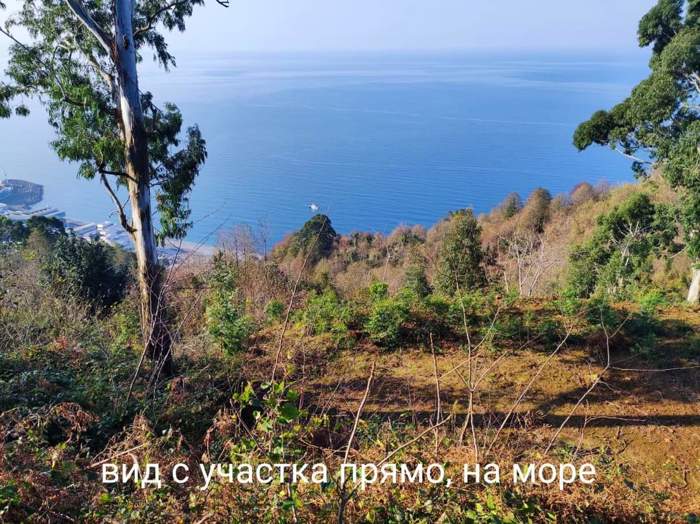 https://static.ss.ge/20261001/0_0dc26d33-830b-410e-ab7a-f698efd0d462_Thumb.jpg