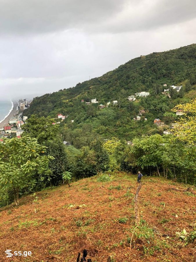 Land For Sale. Kvariati view 1