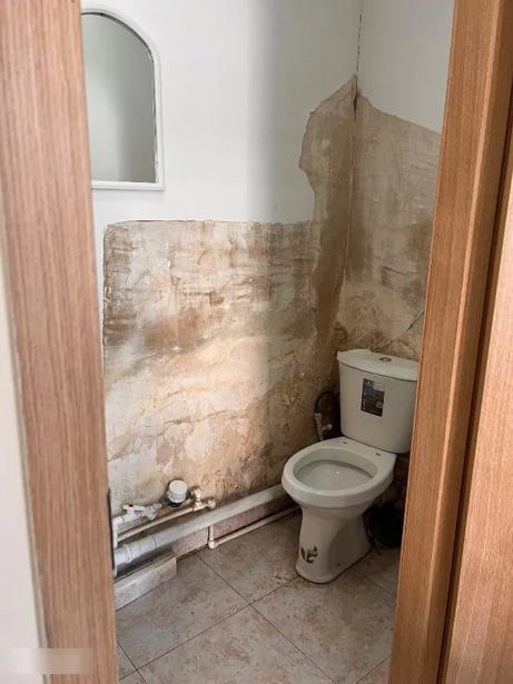 https://static.ss.ge/20261001/14_2d2b9634-5841-4d54-ba40-2bed62af6305_Thumb.jpg