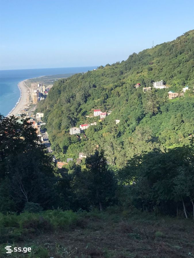 Land For Sale. Kvariati view 3
