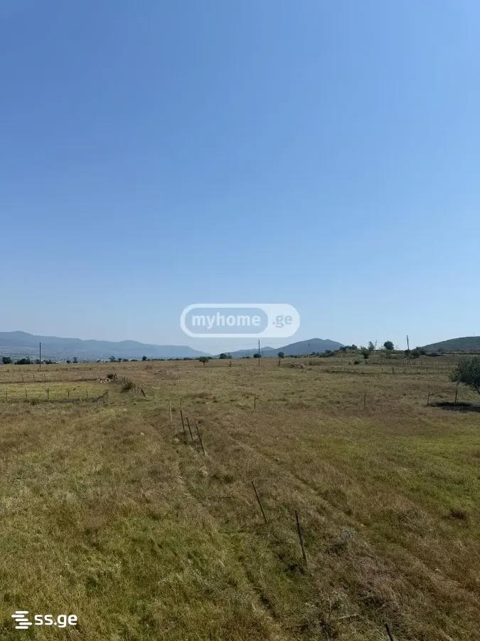 4 Room Private House For Sale view 14