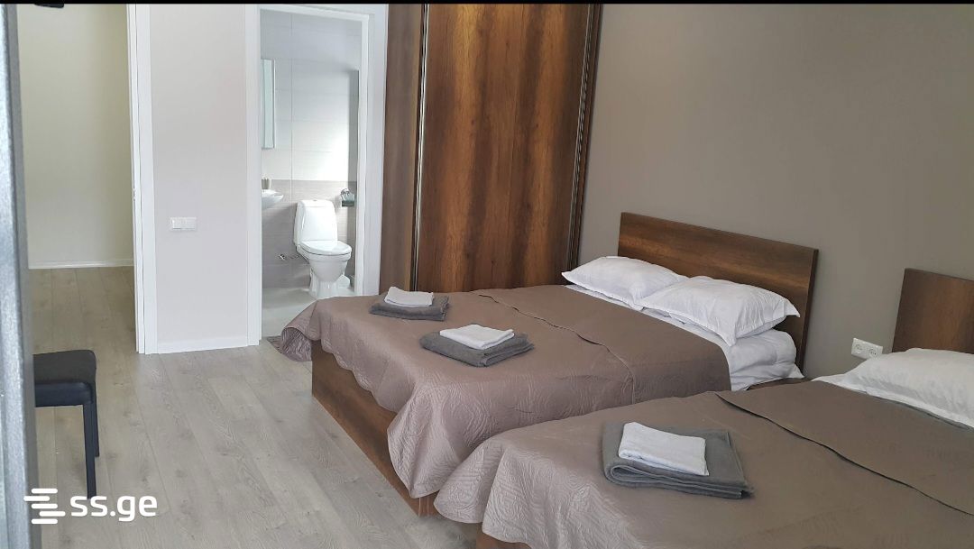 5 Room Summer Cottage Daily Rent. Bakuriani view 11