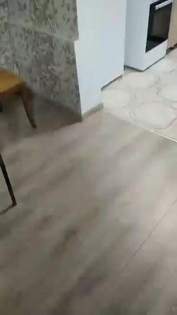 https://static.ss.ge/20261001/17_9fe6b1ad-b7bf-4cc3-ae91-8fd52be8b796_Thumb.jpg