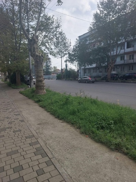 https://static.ss.ge/20261001/2_cf825e1c-b354-4754-8018-fb0a5953e581_Thumb.jpg