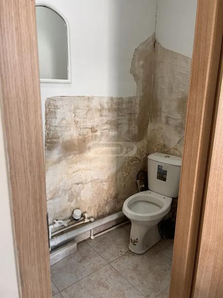https://static.ss.ge/20261001/4_3fc76fe7-a3f3-436a-888b-dd043c4e0848_Thumb.jpg