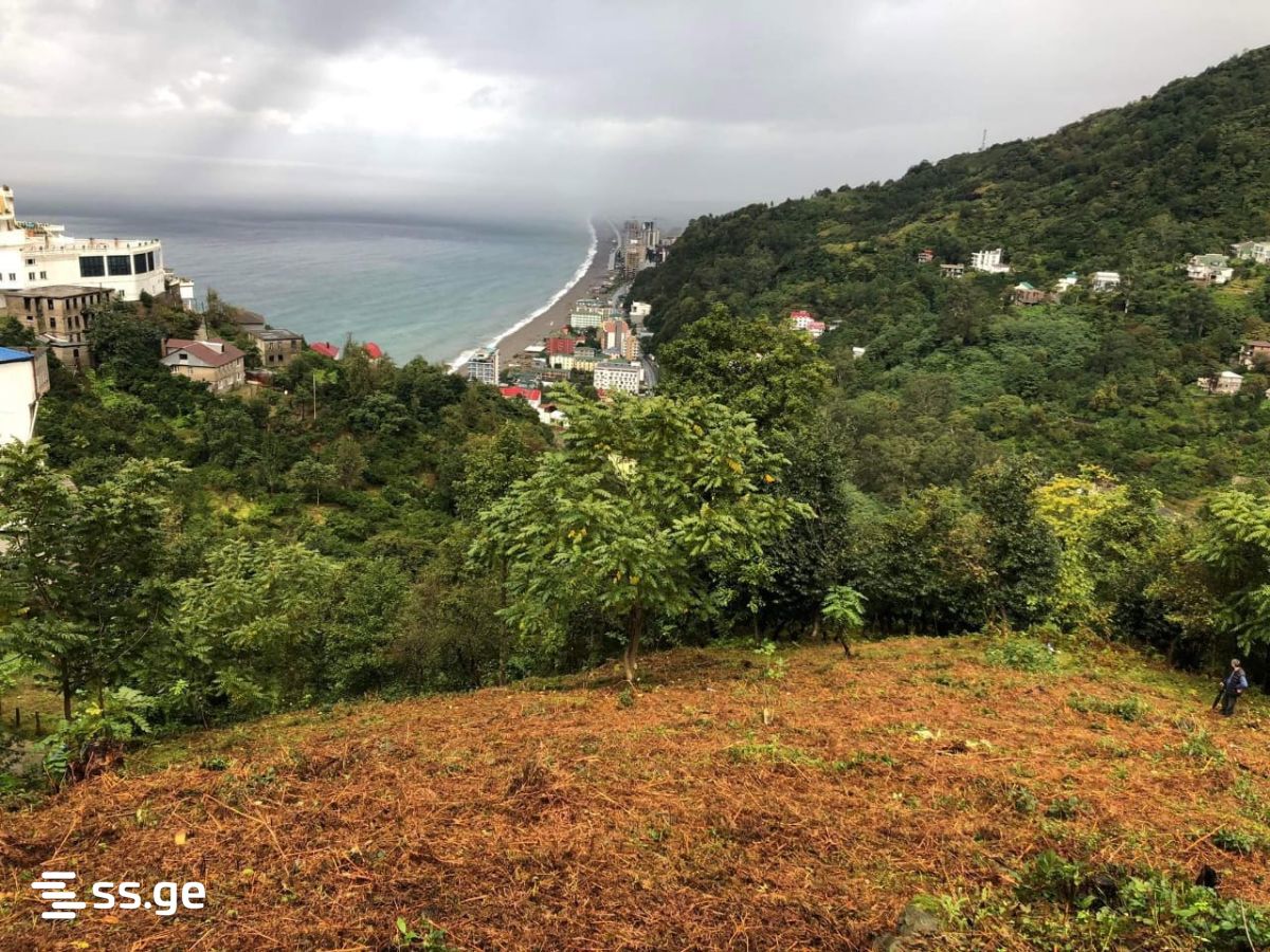 Land For Sale. Kvariati view 2