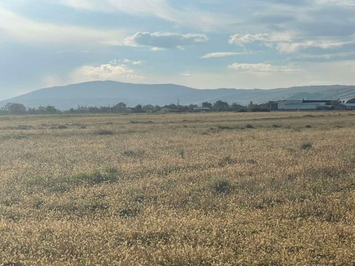 https://static.ss.ge/20261001/4_8a9708f9-fcbb-4489-8008-d95dd5981608_Thumb.jpg