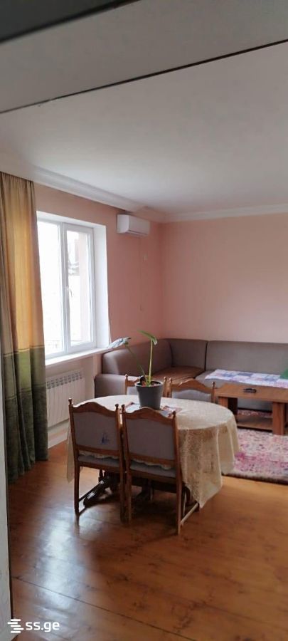 Private House For Rent. Rustavi view 3