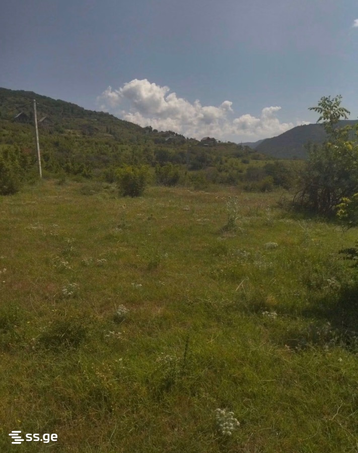 Land For Sale. Mamkoda view 1
