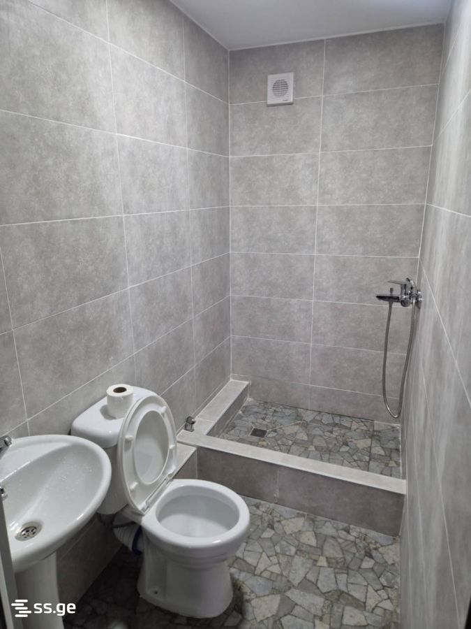 Private House For Rent. Poti view 4